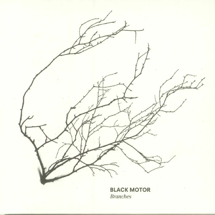 BLACK MOTOR - Branches