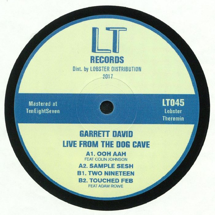 DAVID, Garrett - Live From The Dog Cave
