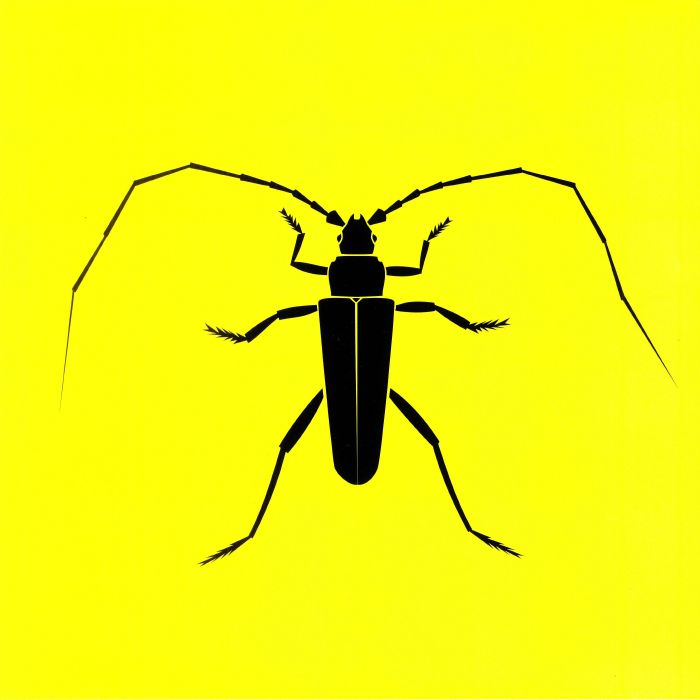 ACIDUPDUB - Longhorn Beetle EP