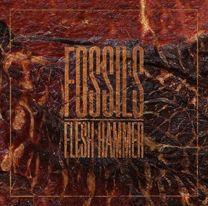 FOSSILS - Flesh Hammer