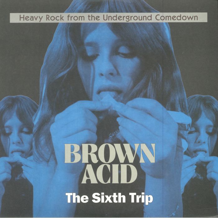 VARIOUS - Brown Acid: The Sixth Trip