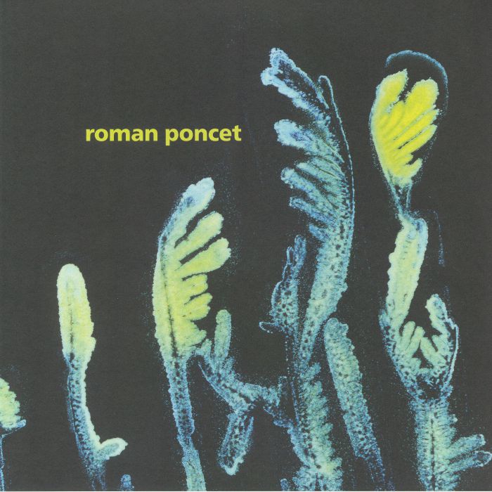 ROMAN PONCET - Gypsophila