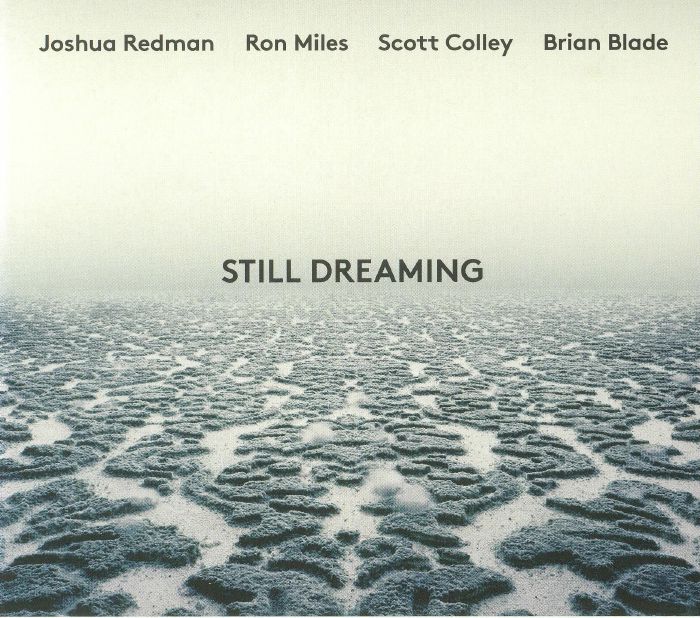 REDMAN, Joshua/RON MILES/SCOTT COLLEY/BRIAN BLADE - Still Dreaming