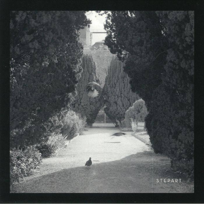 STEPART - The Curve