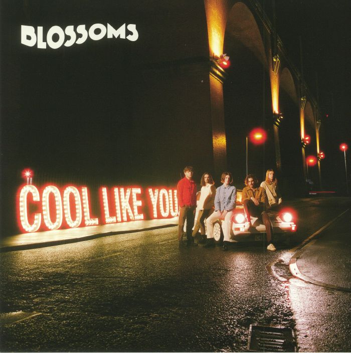 BLOSSOMS - Cool Like You