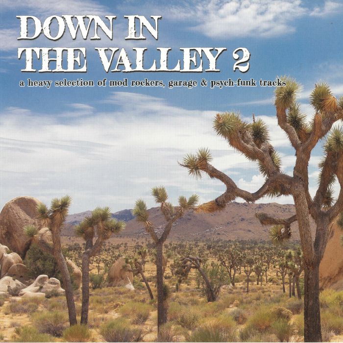 VARIOUS - Down In The Valley 2