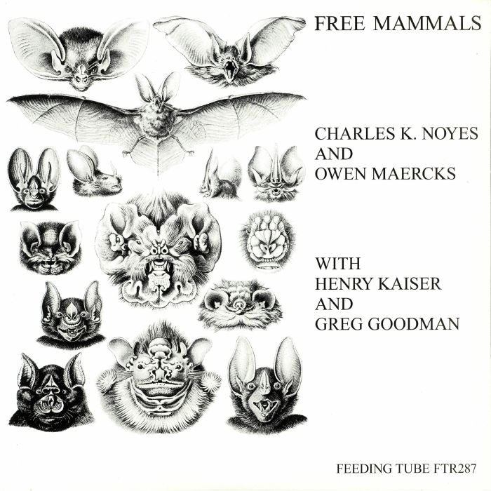 NOYES, Charles K/OWEN MAERCKS with HENRY KAISER/GREG GOODMAN - Free Mammals