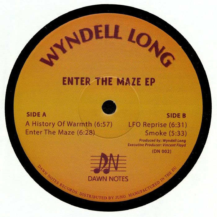 LONG, Wyndell - Enter The Maze