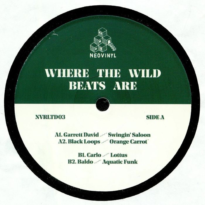 DAVID, Garrett/BLACK LOOPS/CARLO/BALDO - Where The Wild Beats Are