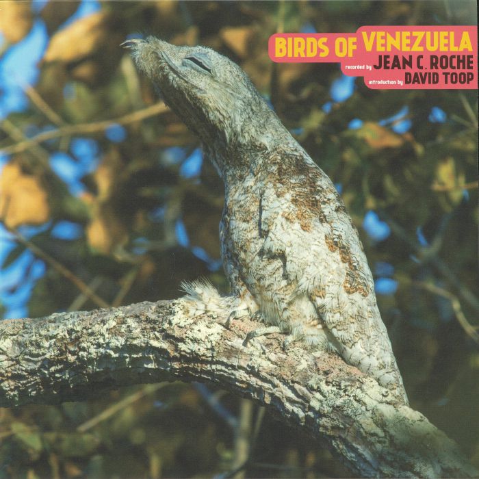 ROCHE, Jean C - Birds Of Venezuela
