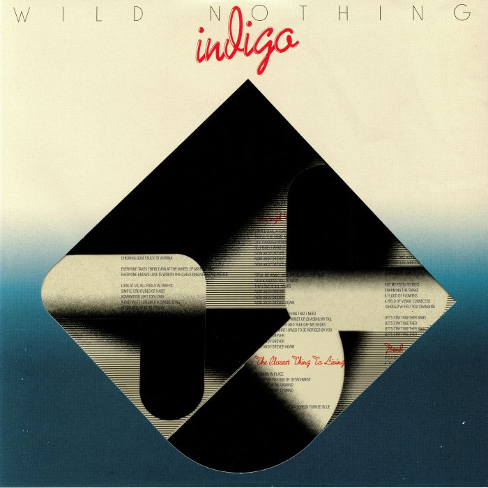 WILD NOTHING - Indigo