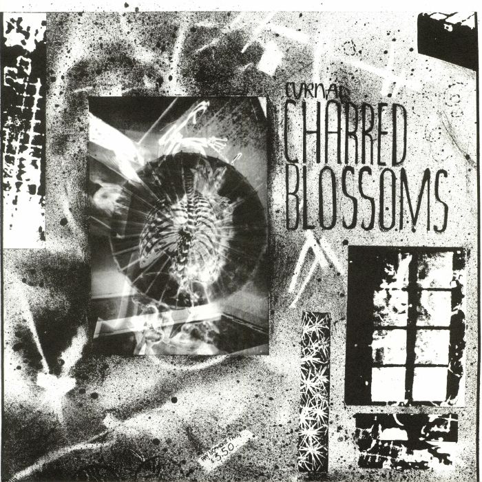 CYRNAI - Charred Blossoms (reissue)
