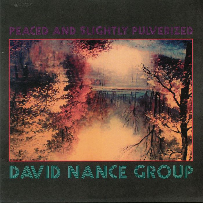 DAVID NANCE GROUP - Peaced & Slightly Pulverized