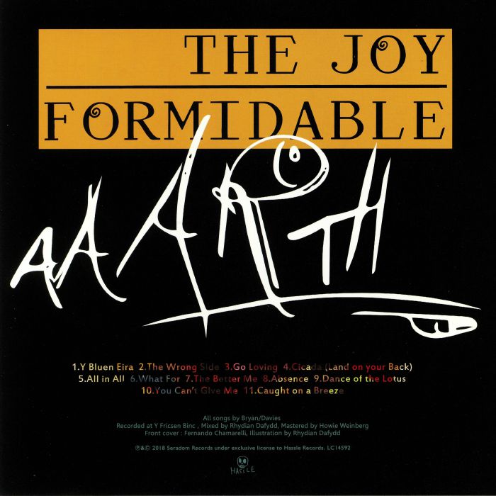 JOY FORMIDABLE, The - Aaarth