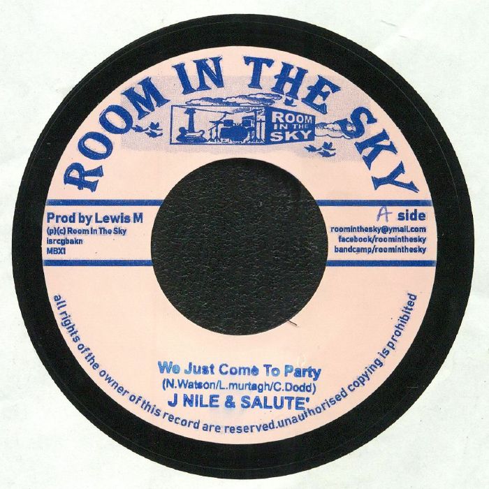 J NILE/SALUTE/VIN GORDON/SKYCRU - We Just Come To Party