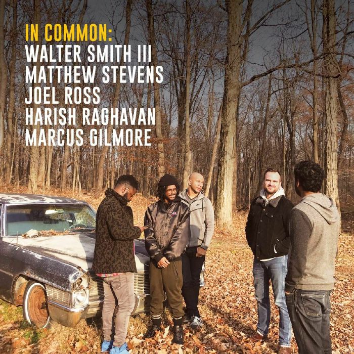 IN COMMON: MATTHEW STEVENS/WALTER SMITH III - In Common
