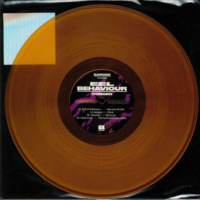 eel behaviour: conger