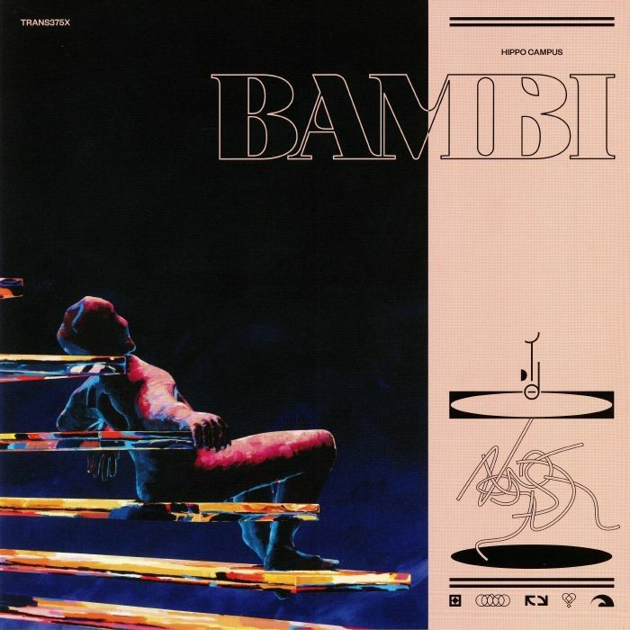 Hippo Campus Bambi