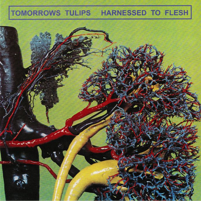 TOMORROWS TULIPS - Harnessed To Flesh