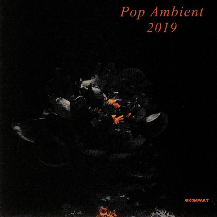 VARIOUS - Pop Ambient 2019