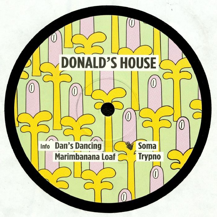 DONALD'S HOUSE - Dan's Dancing