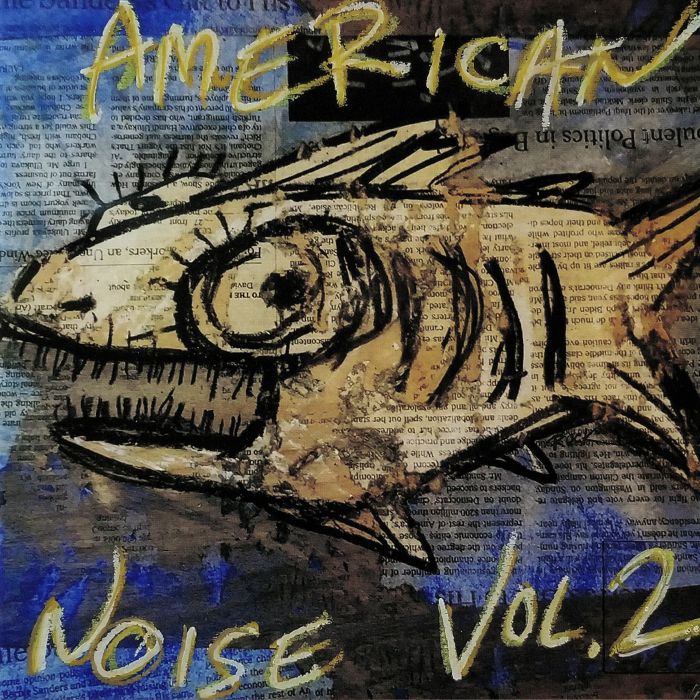 VARIOUS - American Noise Vol 2