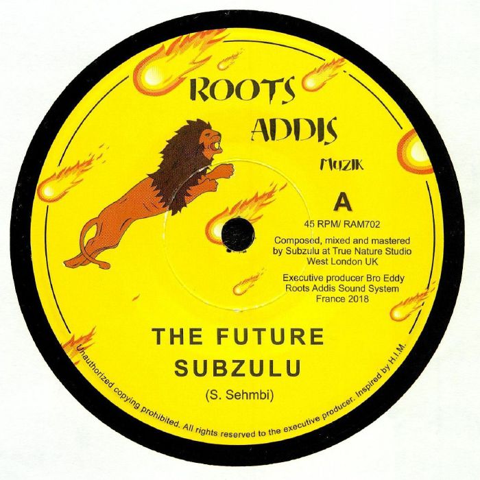 SUBZULU - The Future