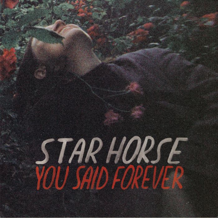 STAR HORSE - You Said Forever