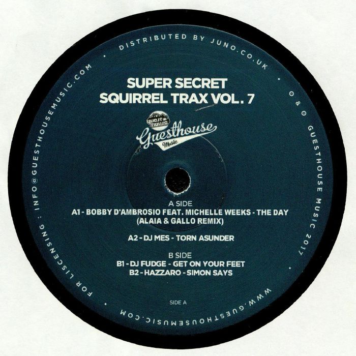 D'AMBROSIO, Bobby/DJ MES/DJ FUDGE/HAZZARO - Super Secret Squirrel Trax Vol 7 (Alaia & Gallo remix)