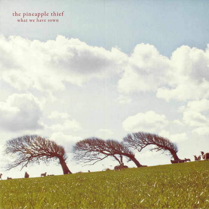 PINEAPPLE THIEF, The - What We Have Sown