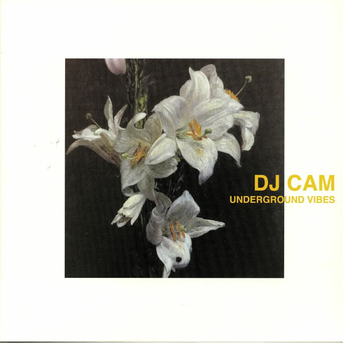 DJ CAM - Underground Vibes (reissue)