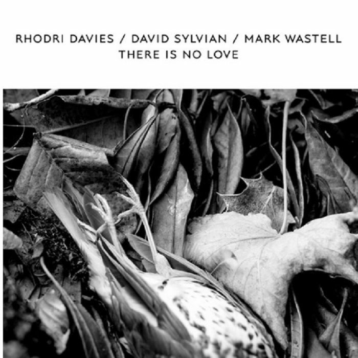 DAVIES, Rhodri/DAVID SYLVIAN/MARK WASTELL - There Is No Love (Record Store Day 2019)