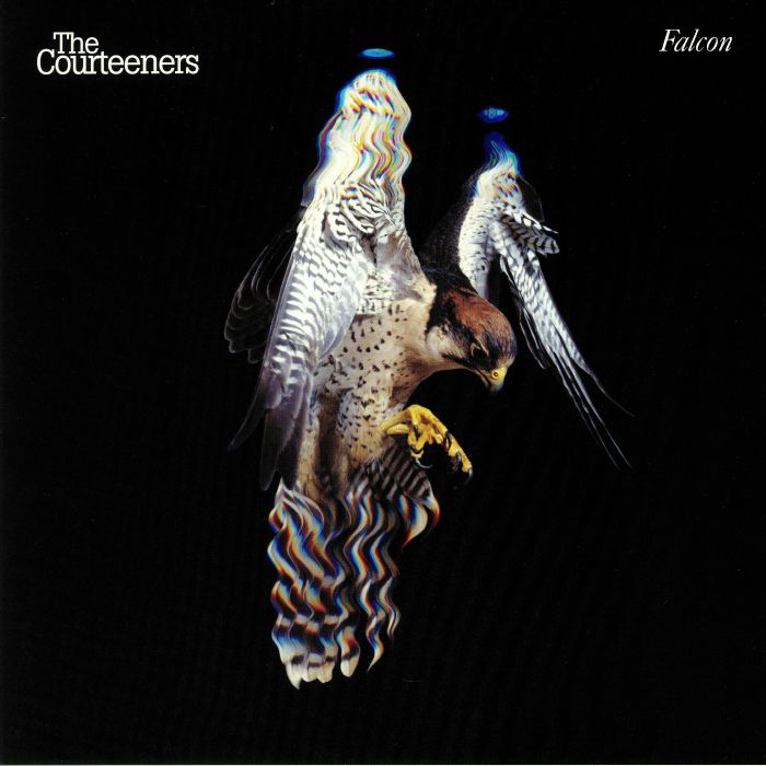 COURTEENERS, The - Falcon (Record Store Day 2019)
