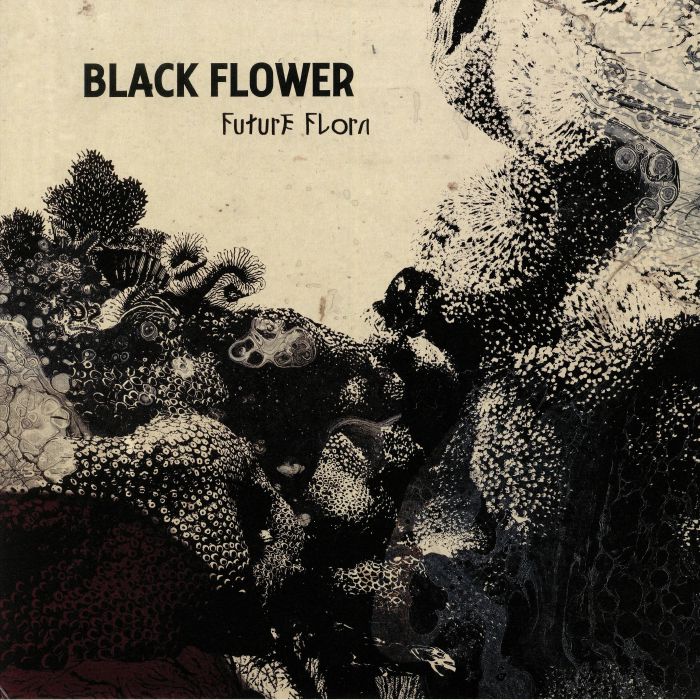 BLACK FLOWER - Future Flora