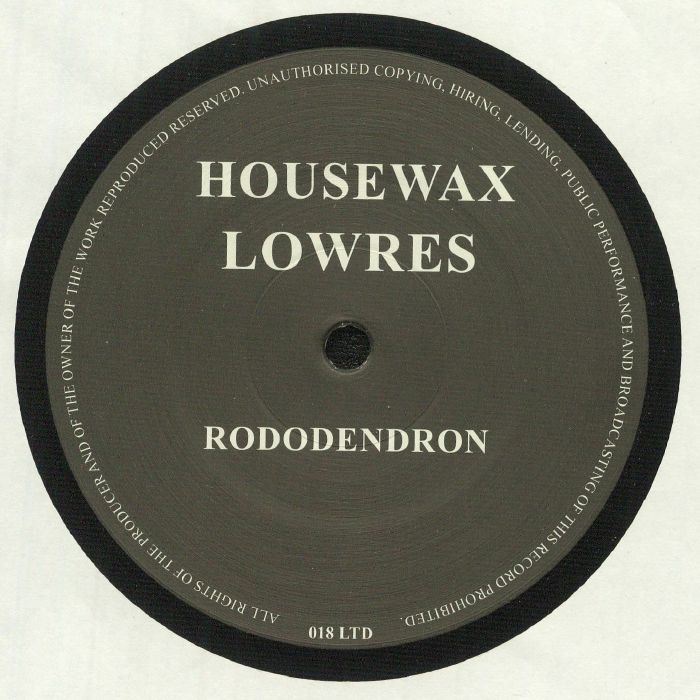 LOWRES - Rododendron