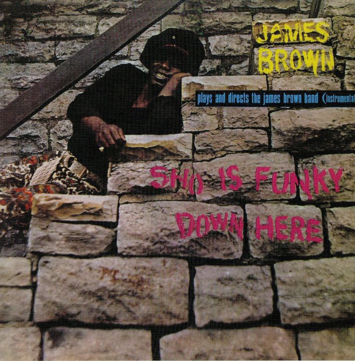 JAMES BROWN BAND, The - Sho Is Funky Down Here