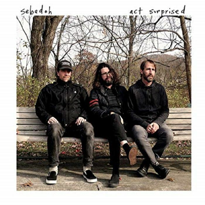 SEBADOH - Act Surprised