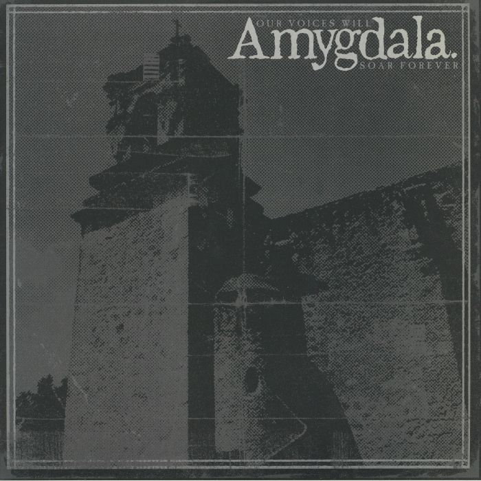 AMYGDALA - Our Voices Will Soar Forever