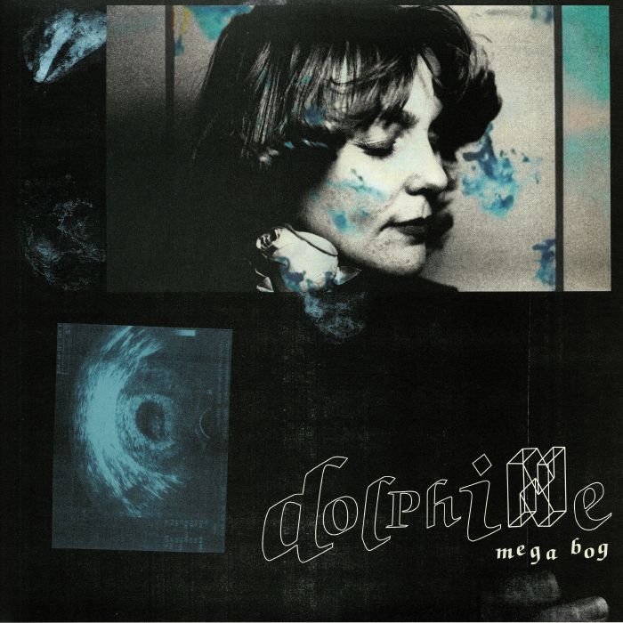 MEGA BOG - Dolphine
