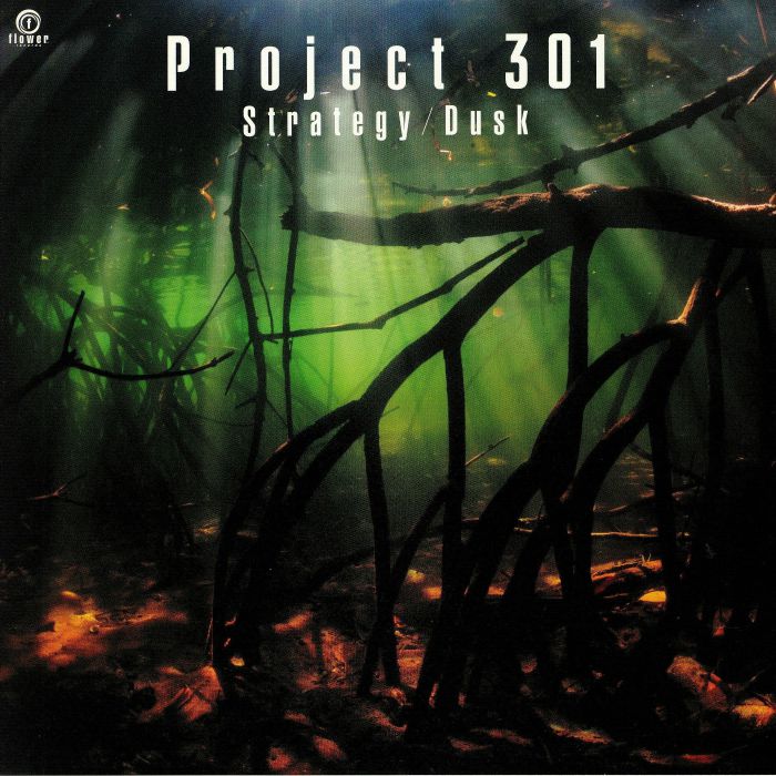 PROJECT 301 - Strategy