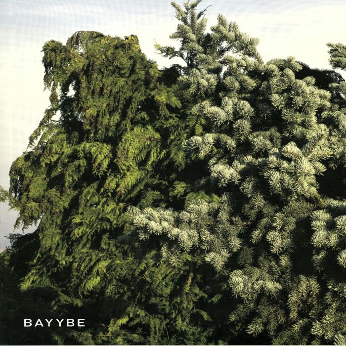 BILO503 - Bayybe