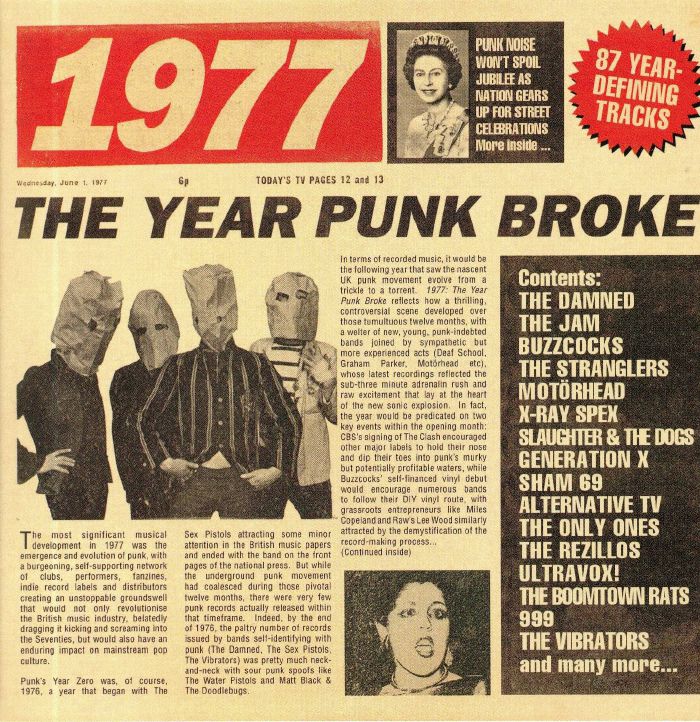 VARIOUS - 1977: The Year Punk Broke
