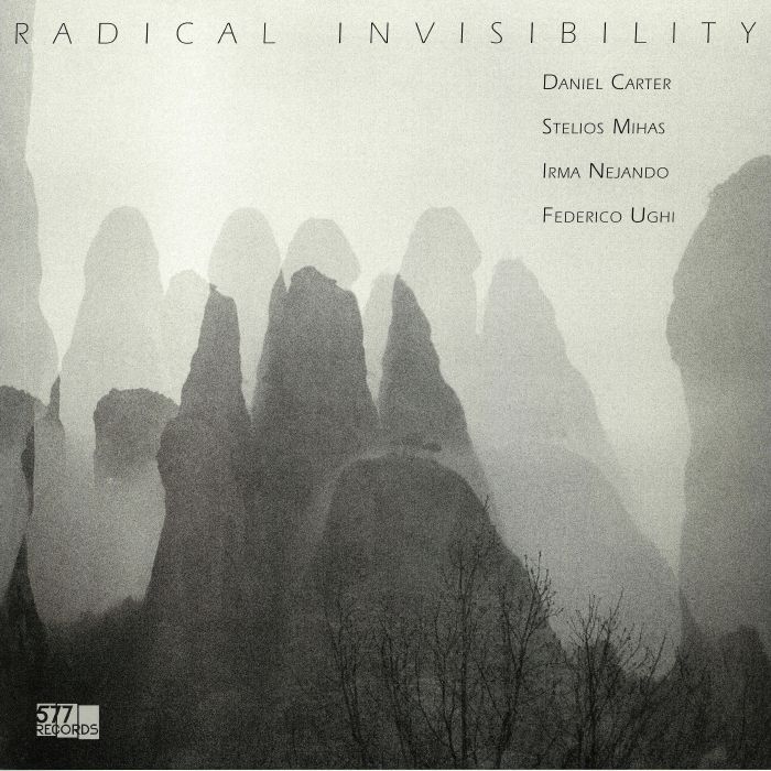 CARTER, Daniel/STELIOS MIHAS/IRMA NEJANDO/FEDERICO UGHI - Radical Invisibility