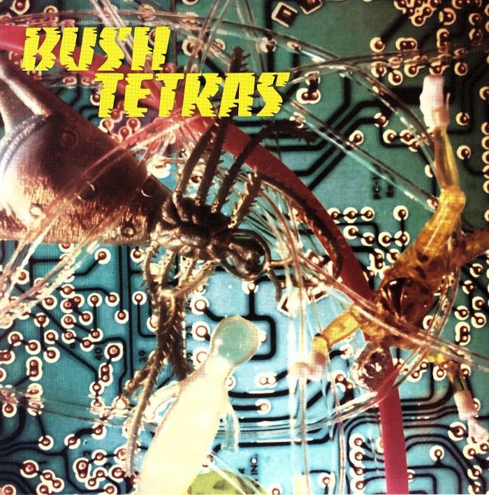 BUSH TETRAS - There Is A Hum
