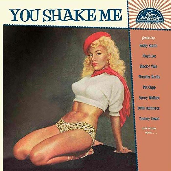 VARIOUS - You Shake Me