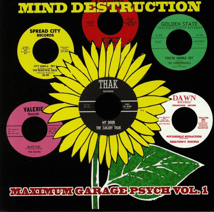 VARIOUS - Mind Destruction: Maximum Garage Psych Vol 1