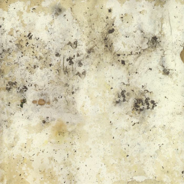 VITELLI, Cosmo - Un Episode Psychotique EP
