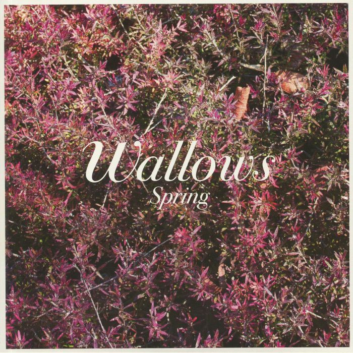 WALLOWS - Spring