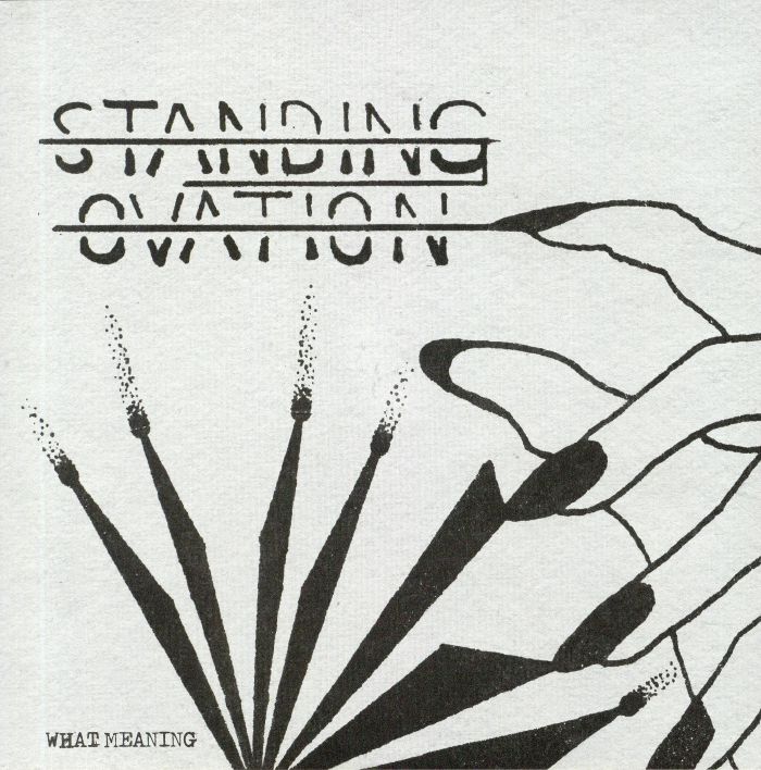 STANDING OVATION - What Meaning