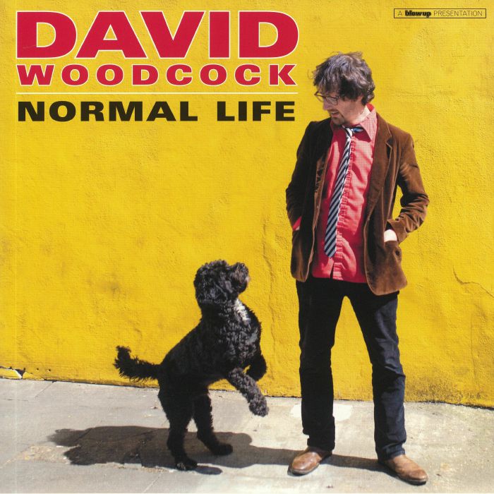 WOODCOCK, David - Normal Life